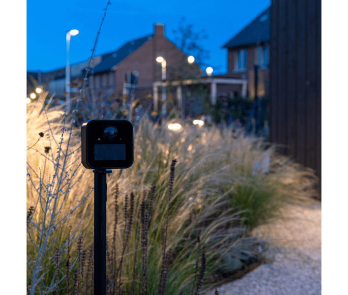 What are the advantages of using motion-sensor garden lights?