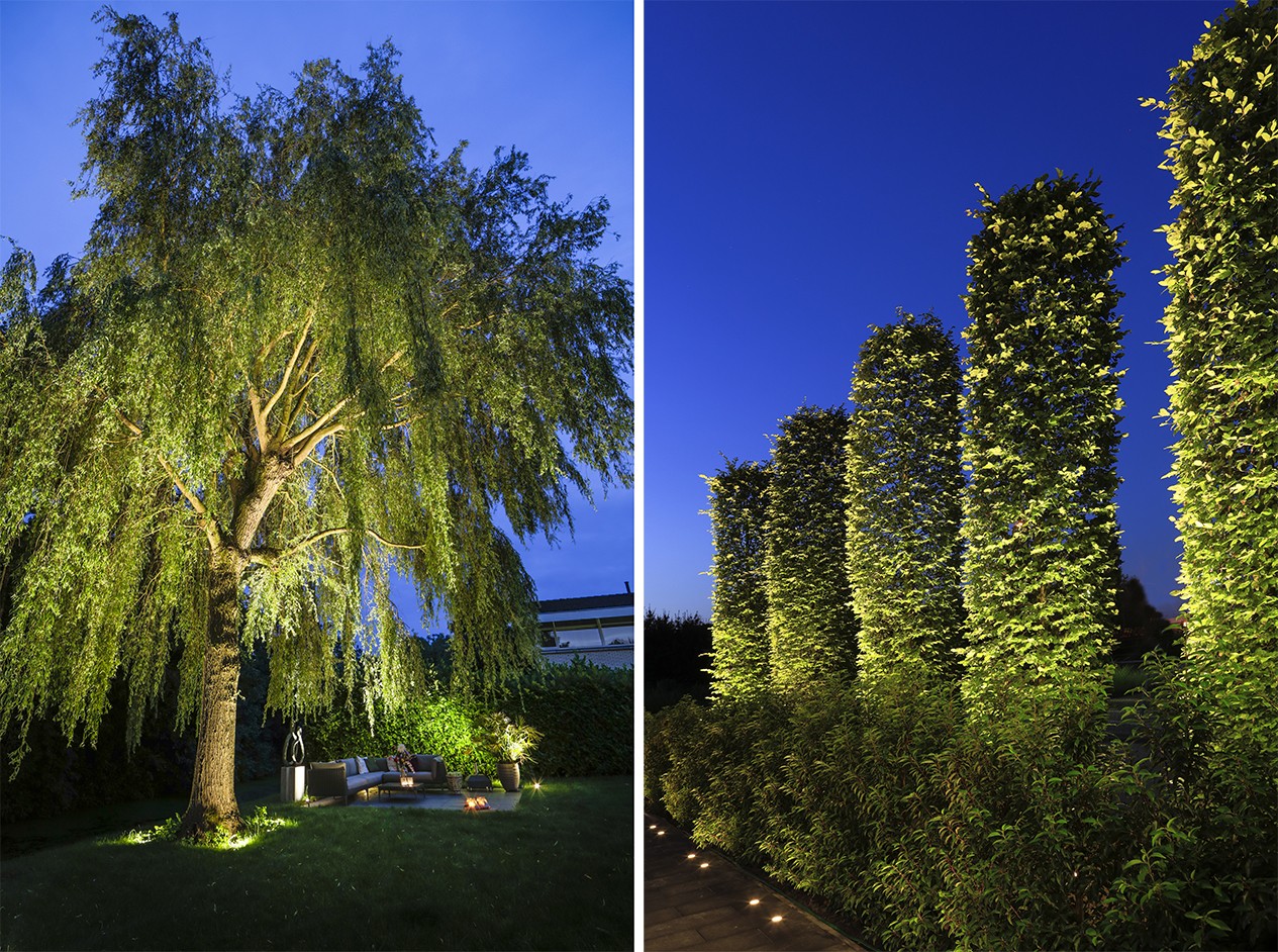 in-lite Blog | Tuinverlichting ideeën, advies en tips - 3 tips om bomen te verlichten met spots | in-lite Blog | Tuinverlichting advies en
