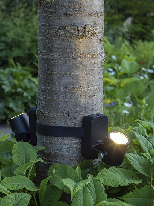 Dimensions BRACE BAND