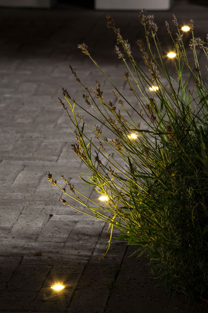 DB-LED — photo 5