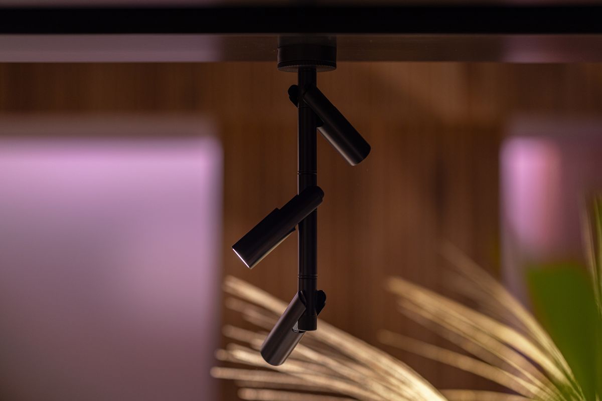 AIM CEILING — photo 6