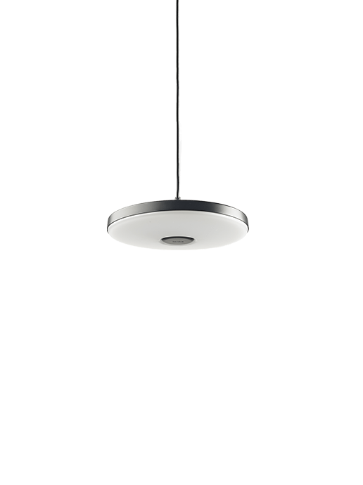 DISC PENDANT — photo 5