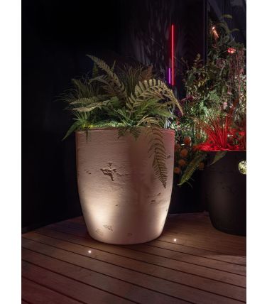 6590_flux22_noring_3.png