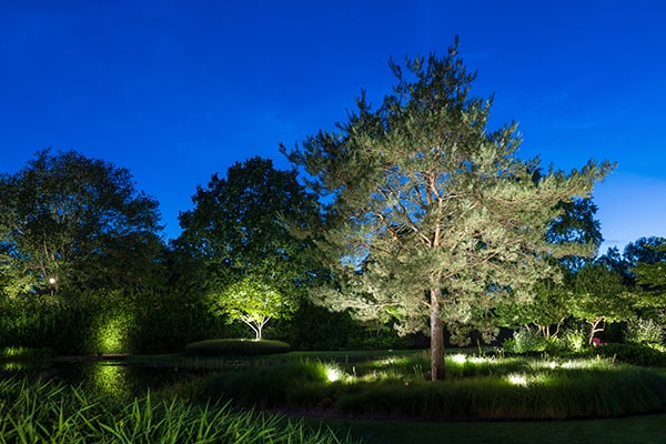 Éclairage d’arbre de in-lite
