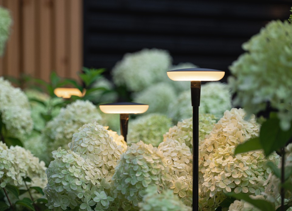 SWAY 12V - tuinverlichting - in-lite 