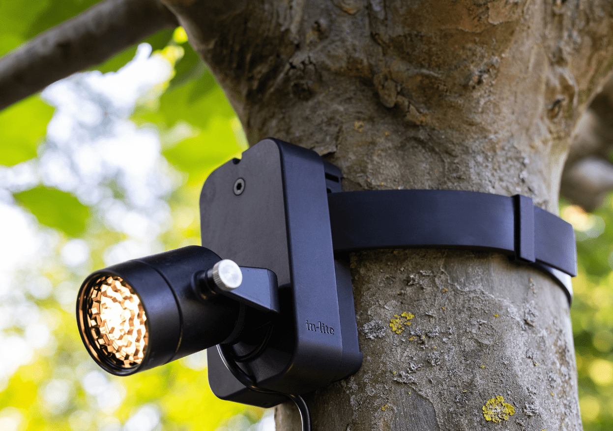 BRACE with BRACE BAND - Garden lighting - in-lite